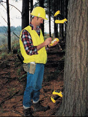 ST300立木品質(zhì)測(cè)量?jī)x