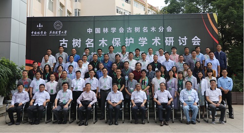 點將科技協(xié)辦古樹名木保護(hù)學(xué)術(shù)研討會在昆明召開