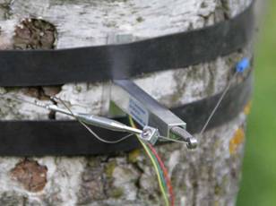 DC2樹干周長(zhǎng)生長(zhǎng)變化記錄儀