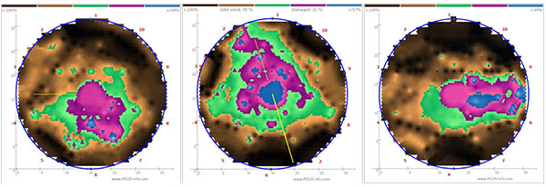 TRU樹木雷達(dá)、Picus 3和TreeQinetic樹木拉伸測試儀落戶長春市園林植物保護(hù)站