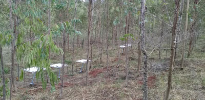 圖片關(guān)鍵詞 圖片關(guān)鍵詞