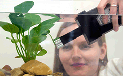 Monitoring Pen植物葉綠素?zé)晒鉁y量儀