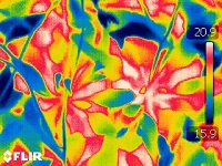 PlantScreen高通量植物表型成像分析系統(tǒng)（野外版）