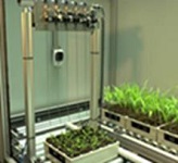 PlantScreen高通量植物表型成像分析系統(tǒng)（自動傳送版）