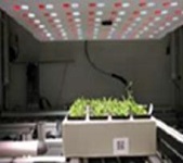 PlantScreen高通量植物表型成像分析系統(tǒng)（自動傳送版）