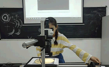 古樹名木保護(hù)項目配套儀器順利通過廣東輕工職業(yè)技術(shù)學(xué)院驗收