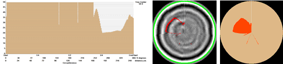 TRU樹木雷達和SSR昆蟲觸角單感器測量系統(tǒng)在東北林業(yè)大學(xué)順利驗收