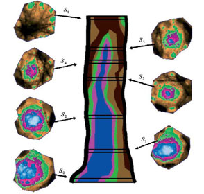 TRU樹(shù)木雷達(dá)、PICUS 3彈性波樹(shù)木斷層畫像診斷儀在昆山市綠化委員會(huì)順利驗(yàn)收