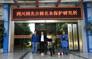 TRU樹木雷達檢測系統(tǒng)為古樹名木保護保駕護航