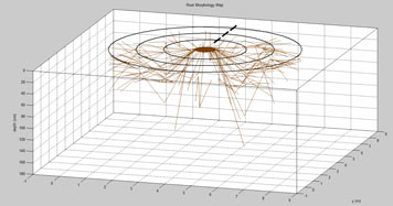 TRU樹木雷達檢測系統(tǒng)為古樹名木保護保駕護航