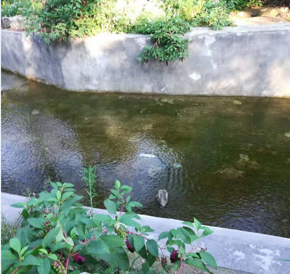 圖片關鍵詞 圖片關鍵詞