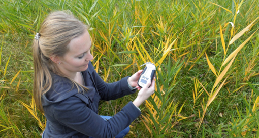 植物氮含量測(cè)量儀