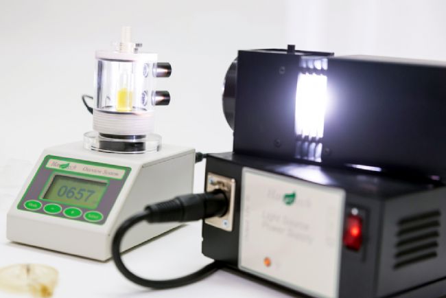 液相氧電極 液相氧電極