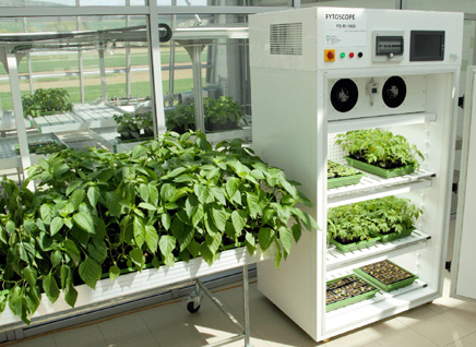 植物生長(zhǎng)箱 植物生長(zhǎng)箱