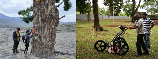 1595382696789964.png blob.png