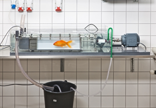 1598845131417693.png blob.png