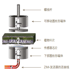 1599213681700724.png blob.png