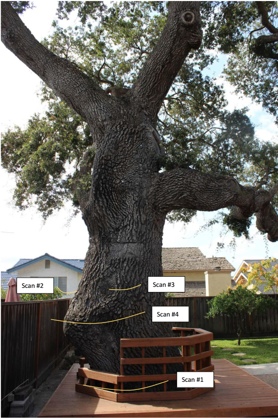 1600240810790333.png blob.png