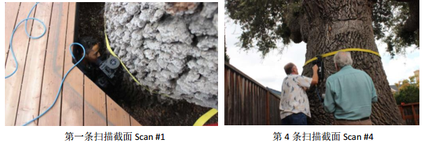 1600240857894417.png blob.png