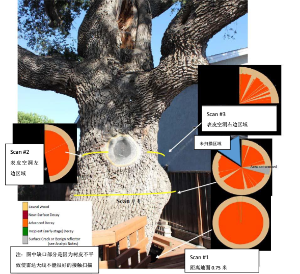 1600241131284114.png blob.png