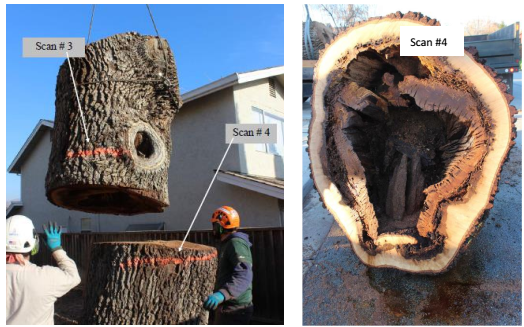 1600241173536225.png blob.png