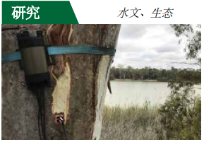 1608623124644240.png 1608623124644240.png