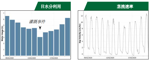 1608623219765871.png blob.png