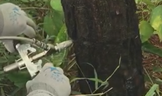 1611040978424325.png blob.png