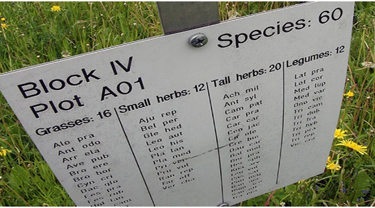 1614753592941633.png blob.png