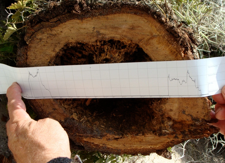 1616470586937875.png 1616470586937875.png