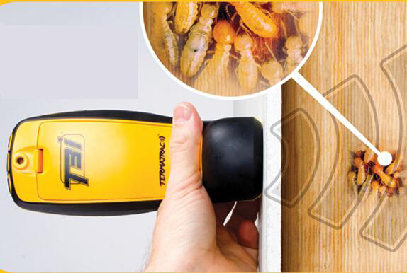 1616470800169974.png 1616470800169974.png