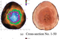 1616471746601421.png blob.png