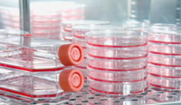 1623141967738954.png blob.png