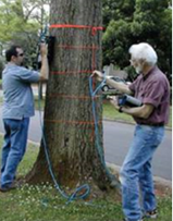 1625539558994096.png blob.png