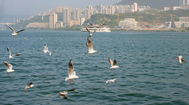 1632984840765567.png blob.png