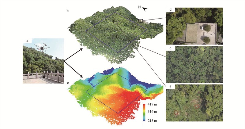 圖片關(guān)鍵詞 圖片關(guān)鍵詞