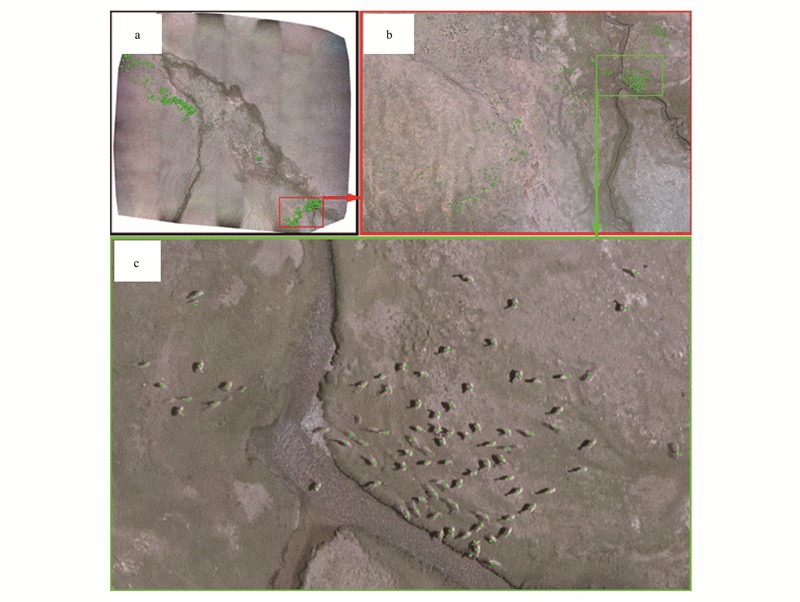 圖片關(guān)鍵詞 圖片關(guān)鍵詞