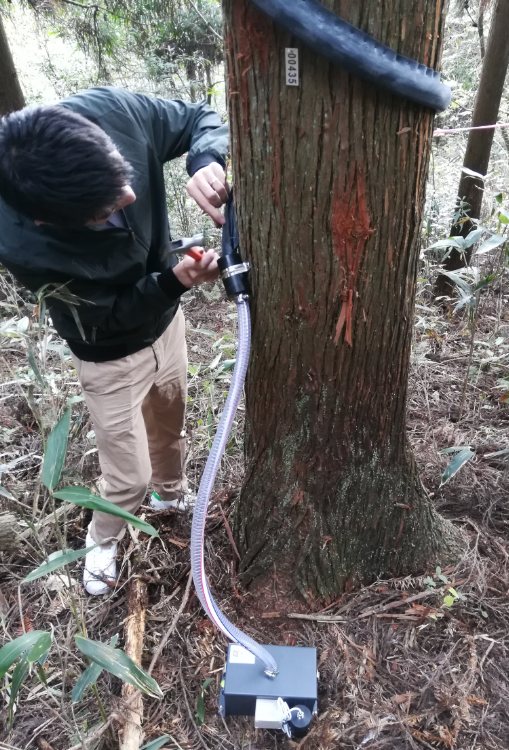 1636945524857351.png blob.png