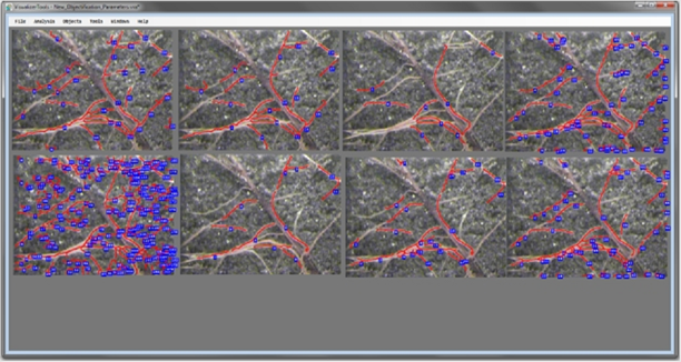 分析軟件 分析軟件