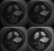 1637827331248319.png blob.png