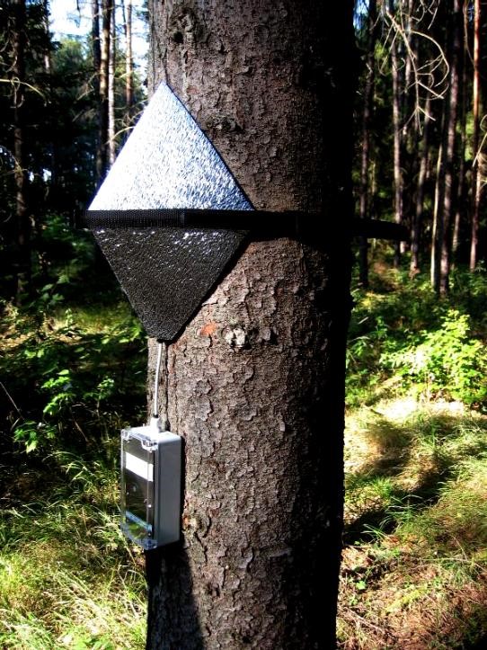 植物莖流測量 植物莖流測量