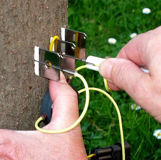 植物莖流測量 植物莖流測量