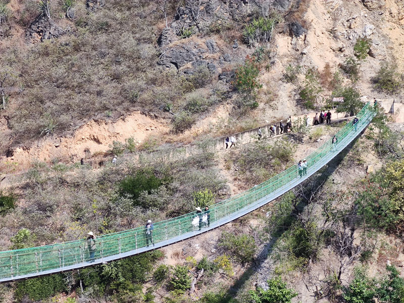 薩王納科學(xué)論壇