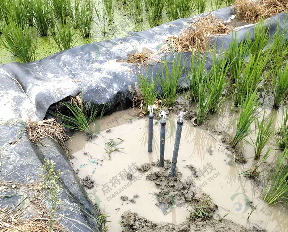 圖片關(guān)鍵詞