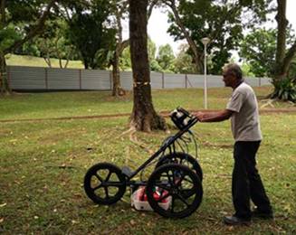 TRU樹木雷達(dá)檢測系統(tǒng)