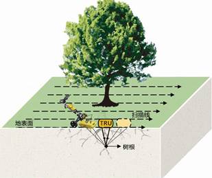 TRU樹木雷達(dá)檢測系統(tǒng)