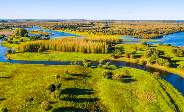 2022年中央一號(hào)文件發(fā)布！要點(diǎn)速讀