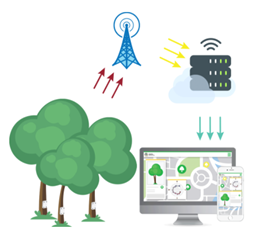 木傾斜智能監(jiān)測系統(tǒng) 木傾斜智能監(jiān)測系統(tǒng)