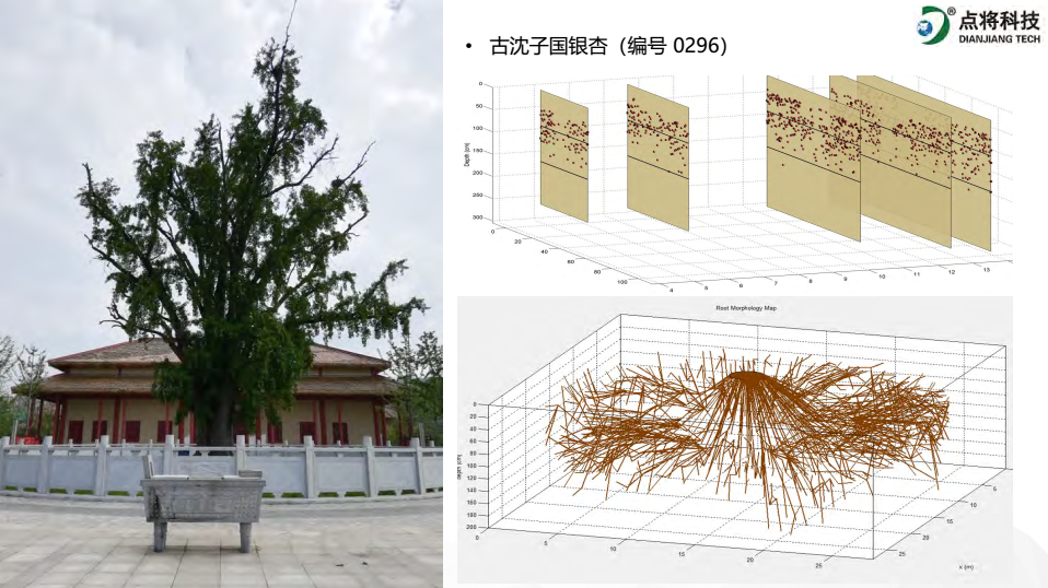 1647585147682626.png image.png