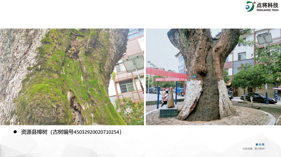 1647585257344513.png image.png